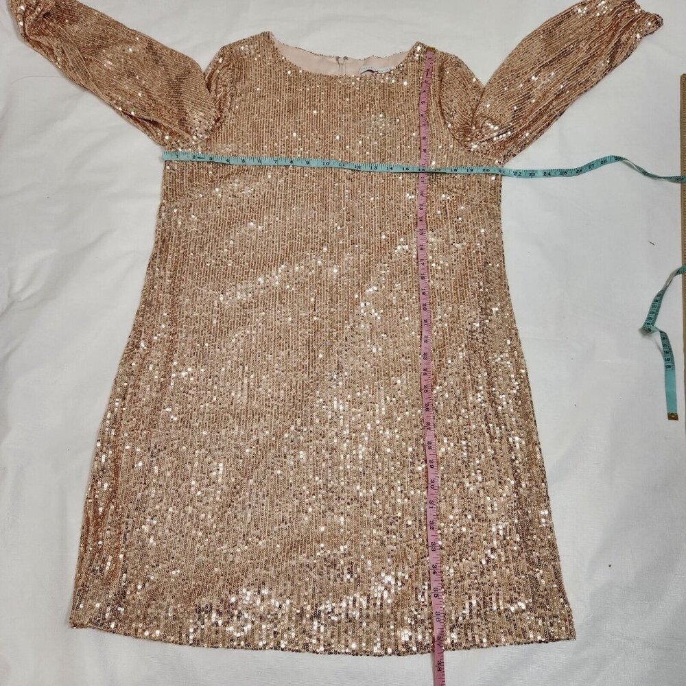 Preston & York Rosa Sequin Dress Long Blouson Sleeve Champagne Gold Size 16 (12) - Picture 10 of 15